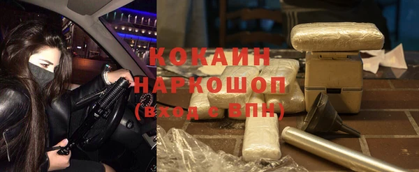 кокс Алексин