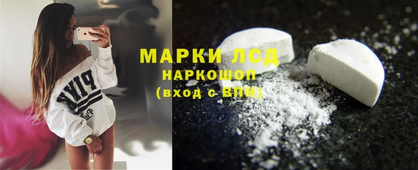 ECSTASY Алзамай