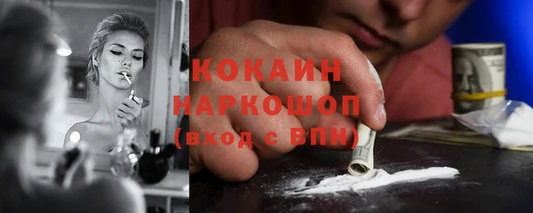 кокс Алексин