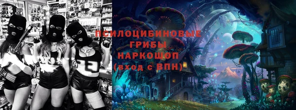 кокс Алексин