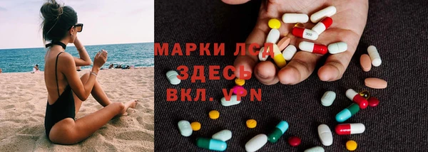 ECSTASY Алзамай